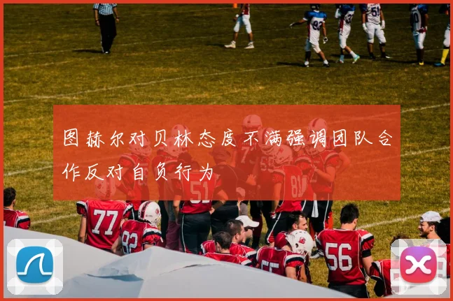 图赫尔对贝林态度不满强调团队合作反对自负行为