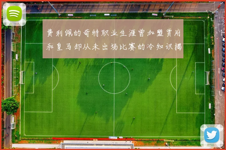 费利佩的奇特职业生涯曾加盟贾府和皇马却从未出场比赛的冷知识揭秘